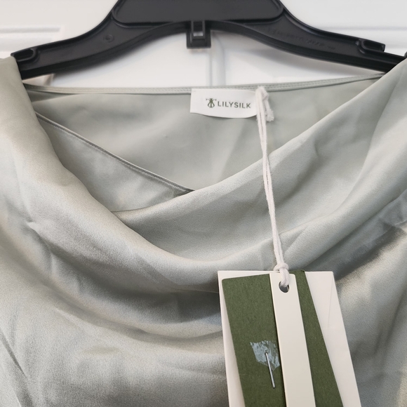 Silver Draped Cap Sleeve Blouse - Picture 4 of 5